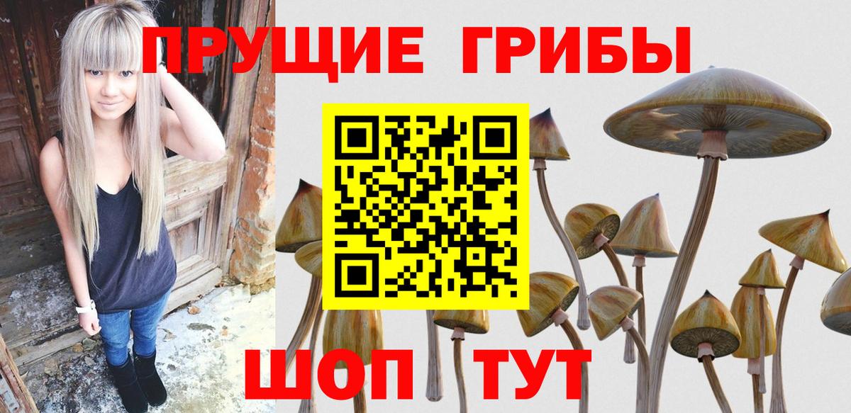 Галлюциногенные грибы GOLDEN TEACHER Курчатов