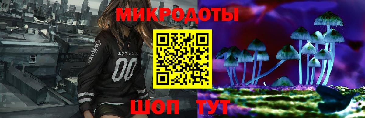 Курчатов  Галлюциногенные грибы Cubensis  Вход с VPN  Галлюциногенные грибы прущие грибы 